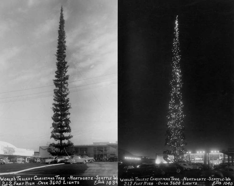 What Is The World's Tallest Christmas Tree? - Santa Tracker